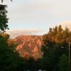 laurenpark86